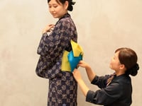 Миниатюра отеля 11