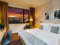 معاينة الفندق 17