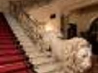Hotel thumbnail 1