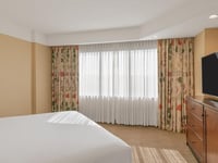 Miniatura do hotel 13