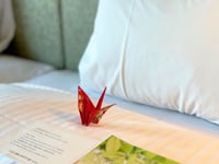 Hotel thumbnail 12