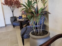 Hotel thumbnail 6
