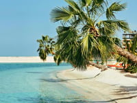 Hotel thumbnail 7