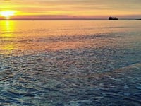 Hotel thumbnail 6
