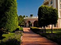 Miniatura dell'hotel 14