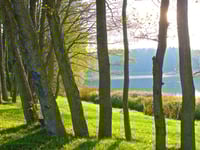 Miniatura do hotel 5