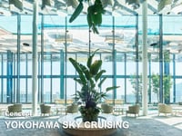 Hotel thumbnail 6