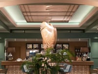 Hotel thumbnail 20