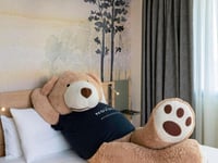 Hotel thumbnail 2