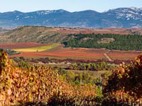 Hotell-miniatyrbilde 5