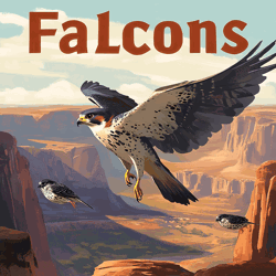 Falcons