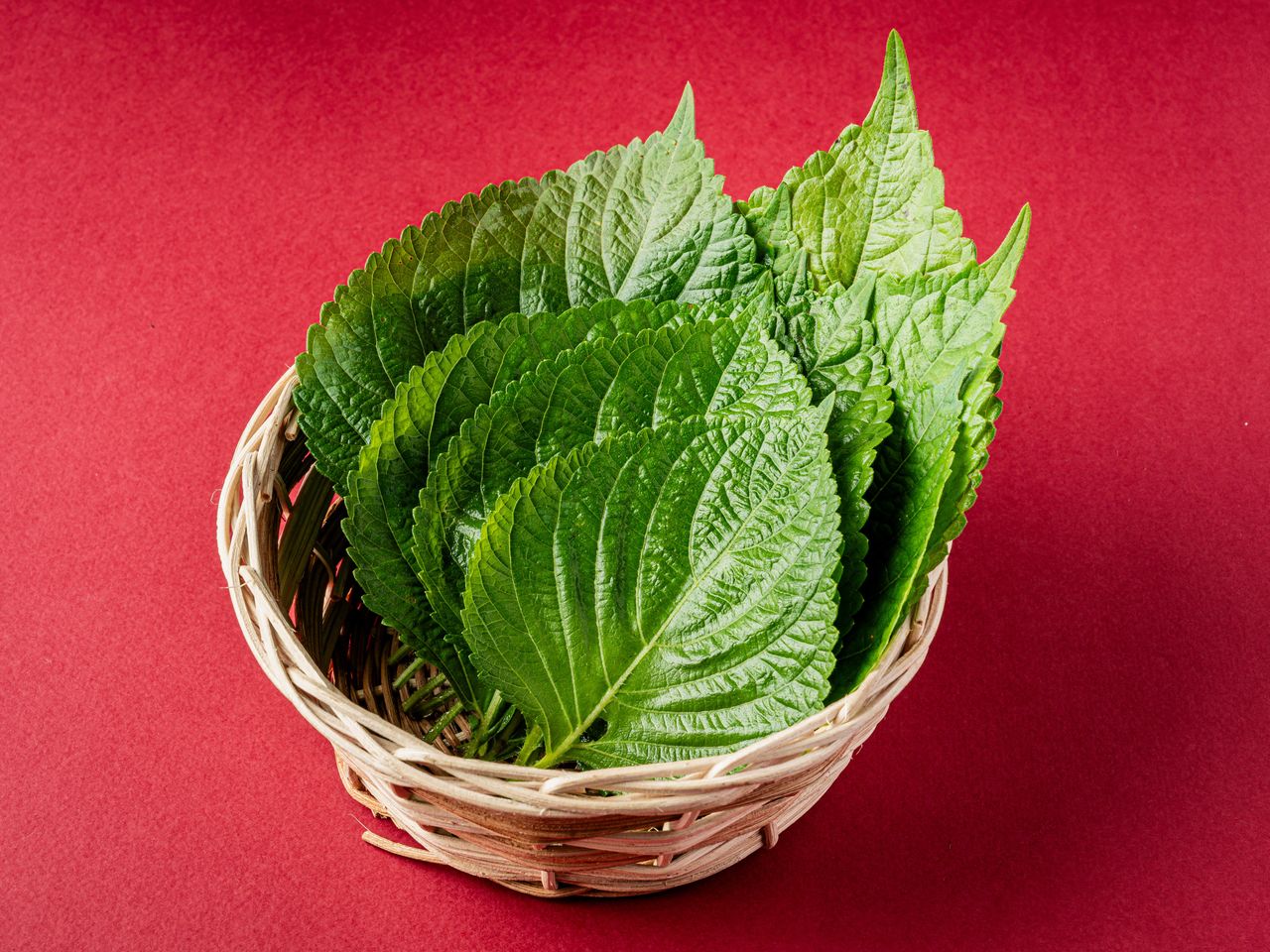 수유 배달 한식 메뉴사진 촬영 - 같은 바구니에 톱니 모양 가장자리가 보이게 깻잎을 세워 담은 쌈채소 컷