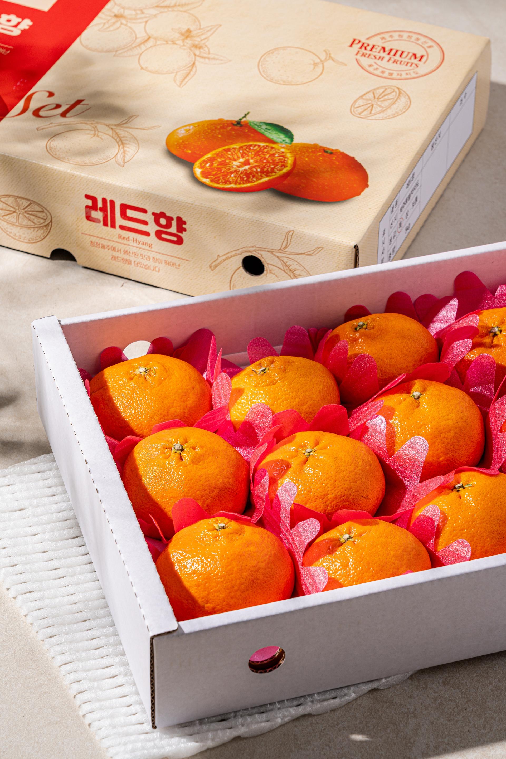 서귀포 레드향 상세페이지 촬영, 제주 농수산물