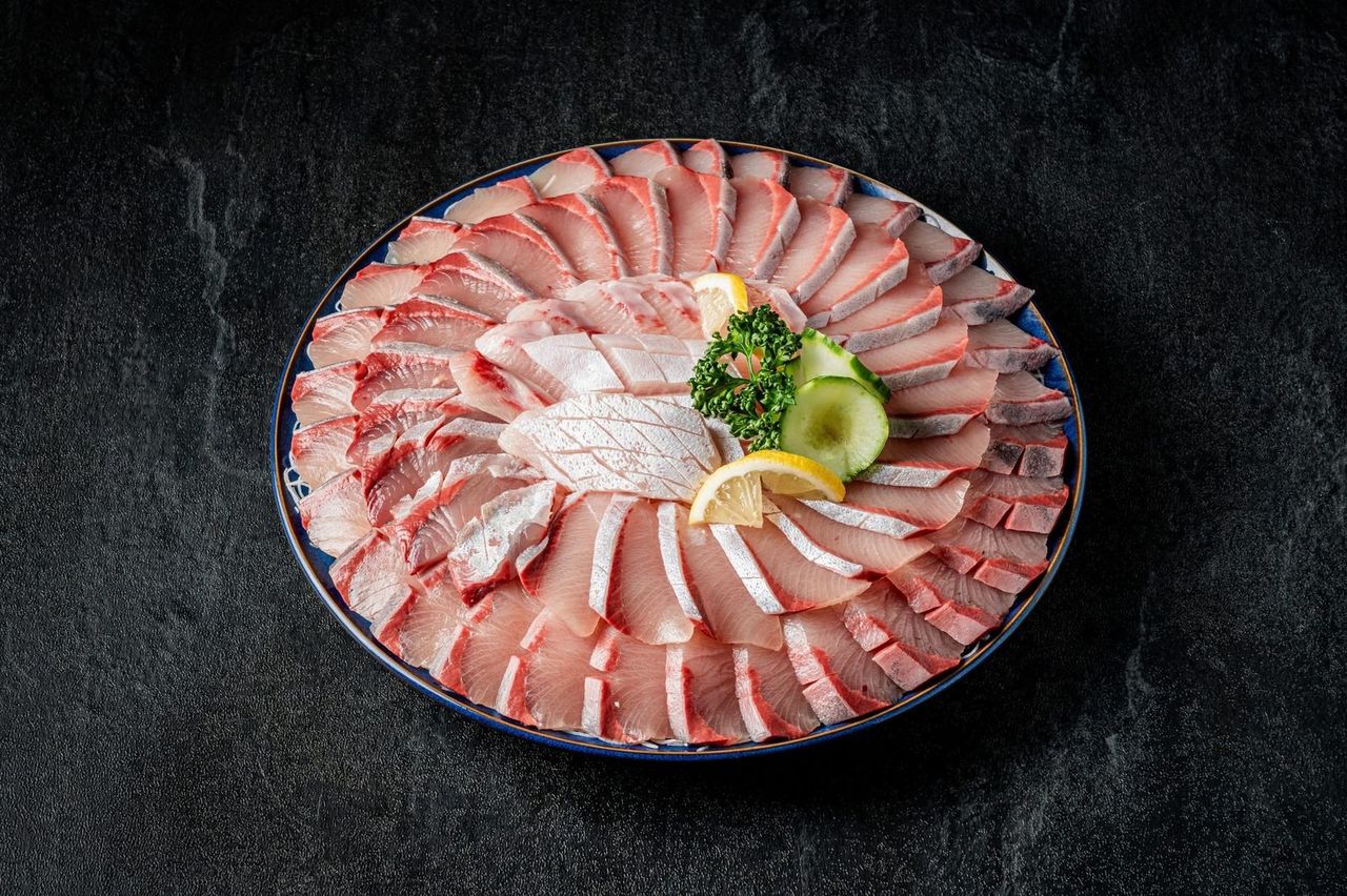 회 배달 전문점 음식사진촬영 예시 - 어두운 배경으로 회의 색을 강조한 배달컷