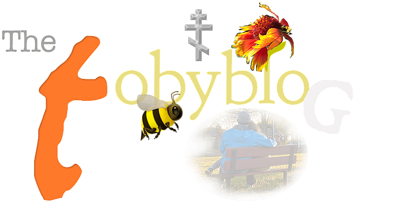 Welcome to Tobyblog