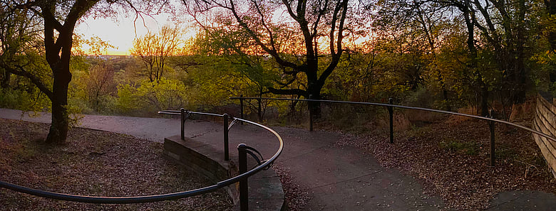 Arbor Hills in Plano