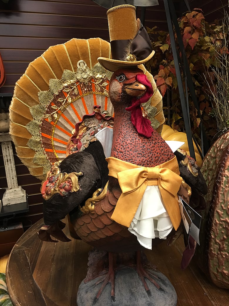 Tom Turkey