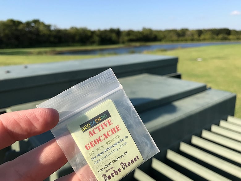 Bagged log