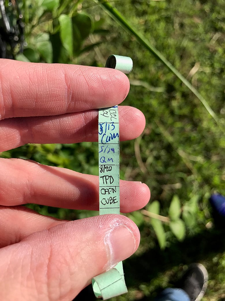 Nano log, unfolded