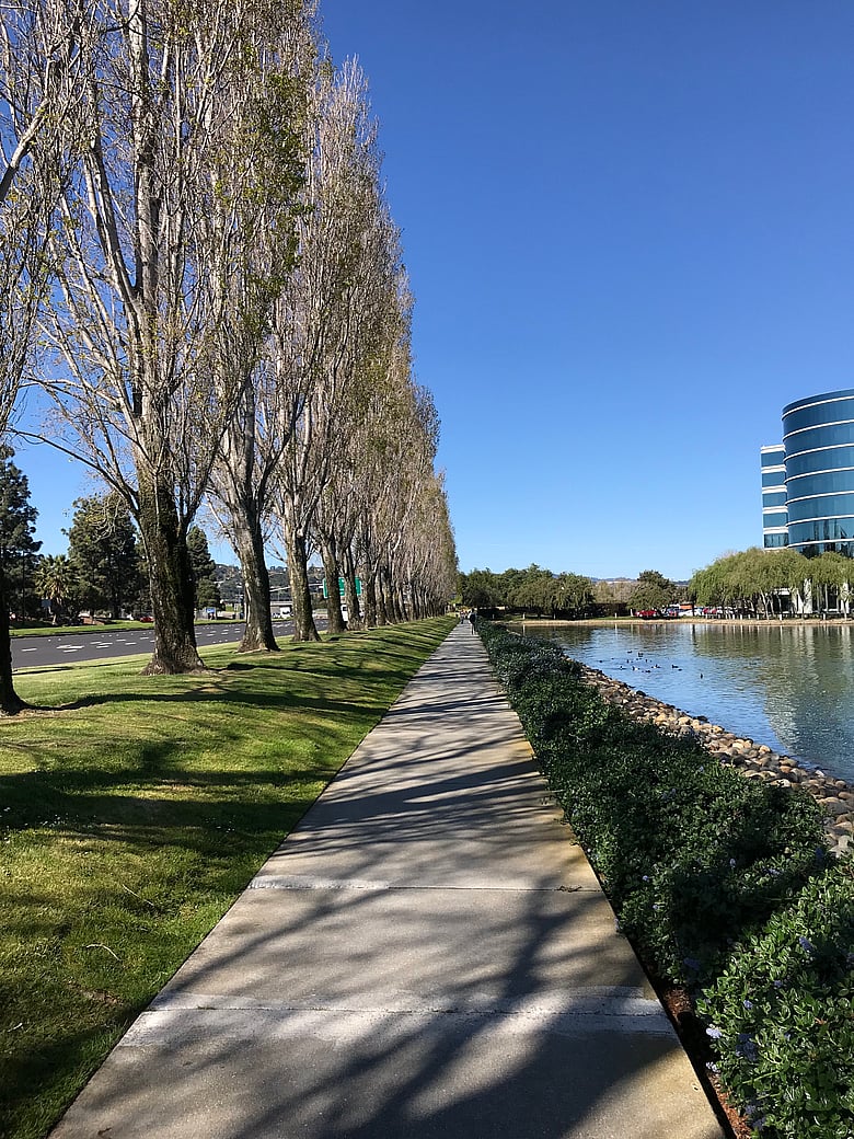 Oracle Headquarters