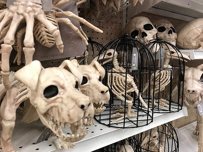 Skeleton Menagerie