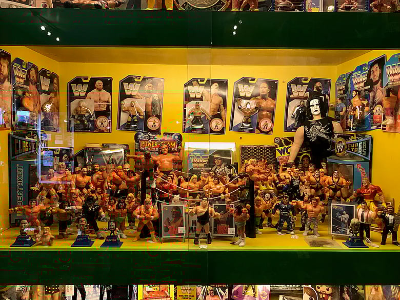 WWE/WWF Wrestling Case