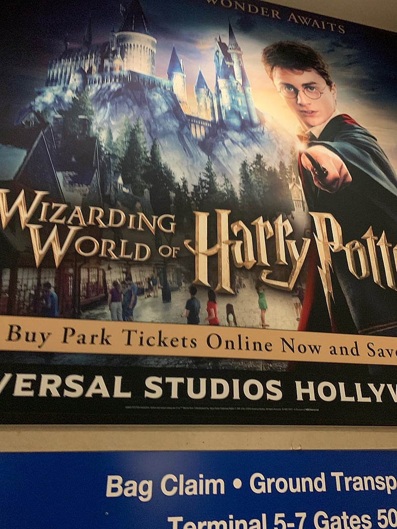 Harry Potter is Everywhere