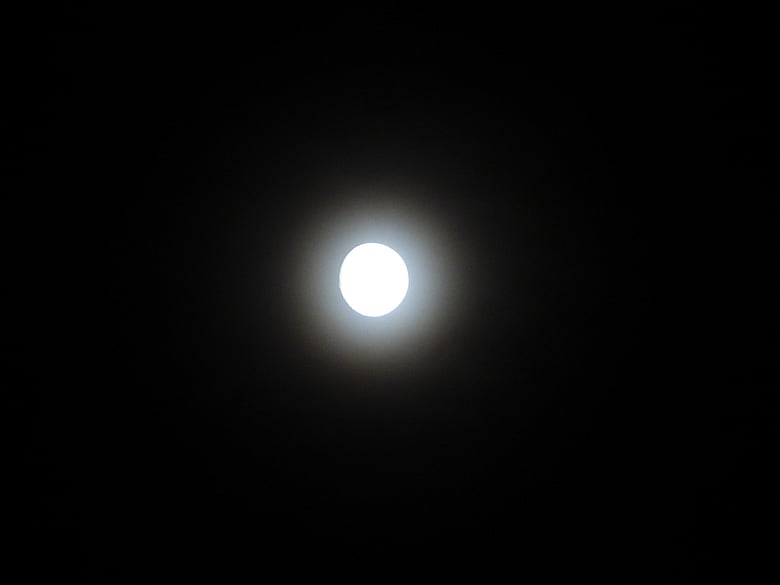 DSCN0343