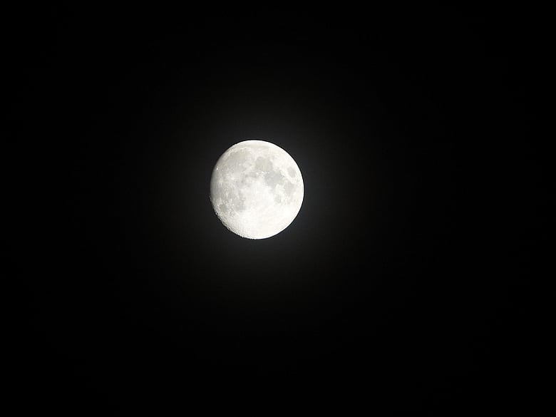 DSCN0344