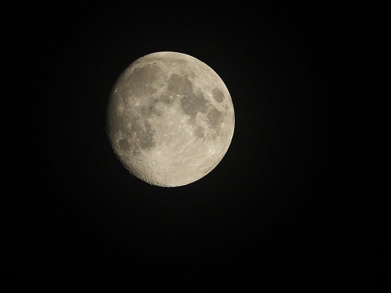DSCN0345