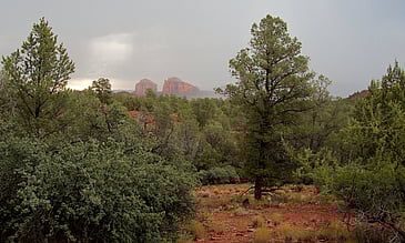 View of Cathedral Rock From the Lookout