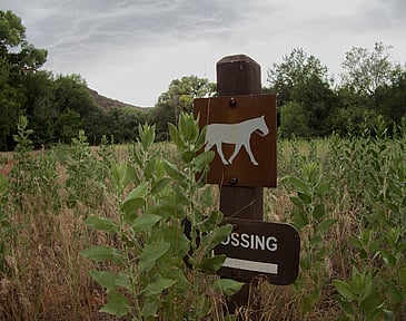 Horse Trail Marker