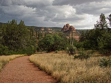 Scenic View Along a Hiking Trail