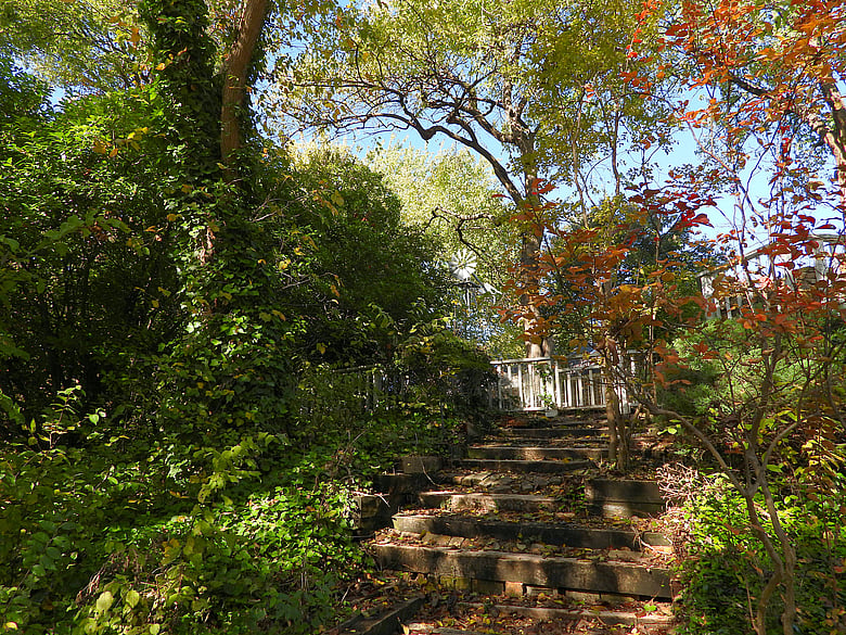 Steps