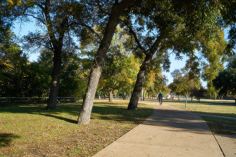 Path
