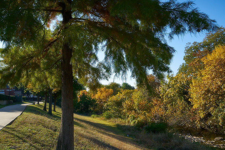 Fall Color