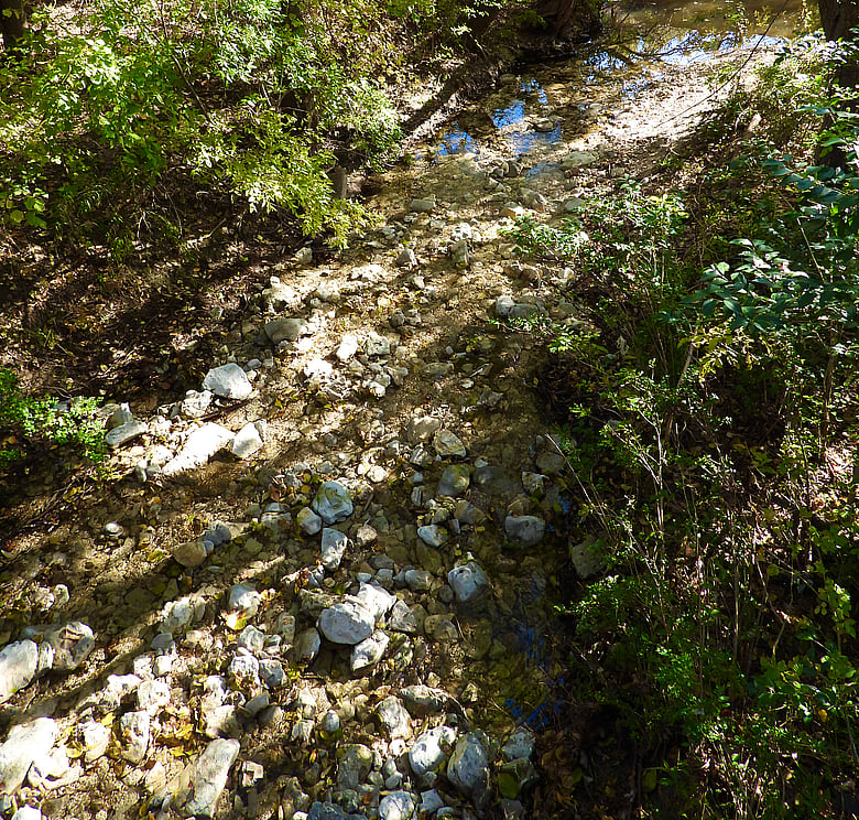 Creek Bed