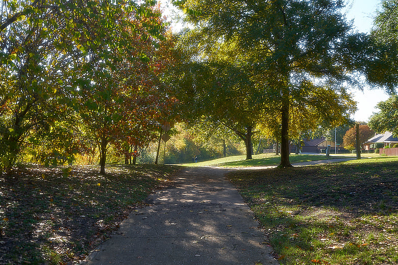 Fall Light