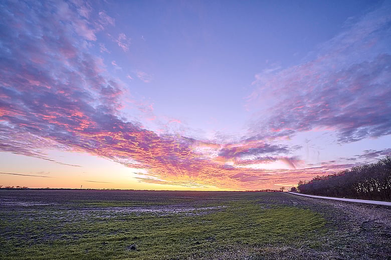 Sunset in a Field