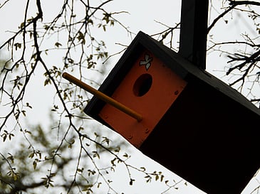 Birdhouse