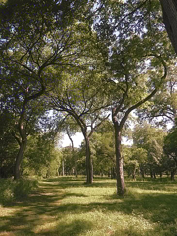 Along the Path
