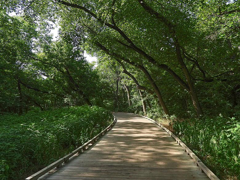 The Boardwalk