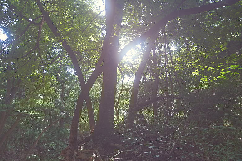 Humidity on my Lens