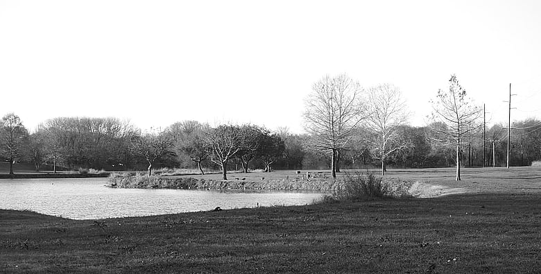 Approaching the pond at Audubon Park