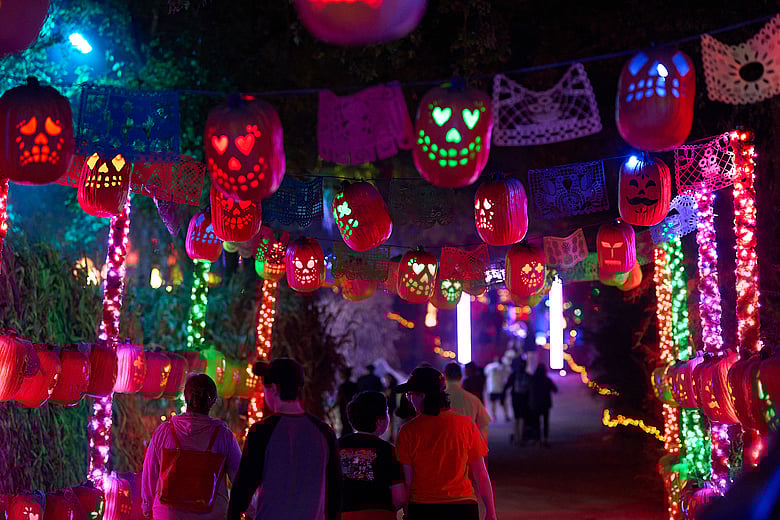 Pumpkin Nights in Arlington
