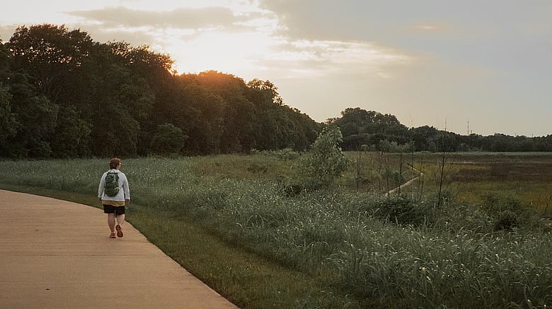 memory of an evening walk