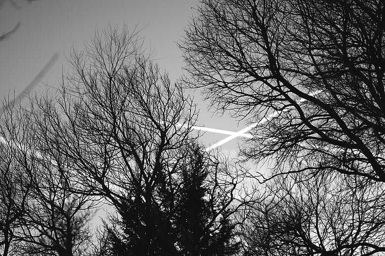 250216.11