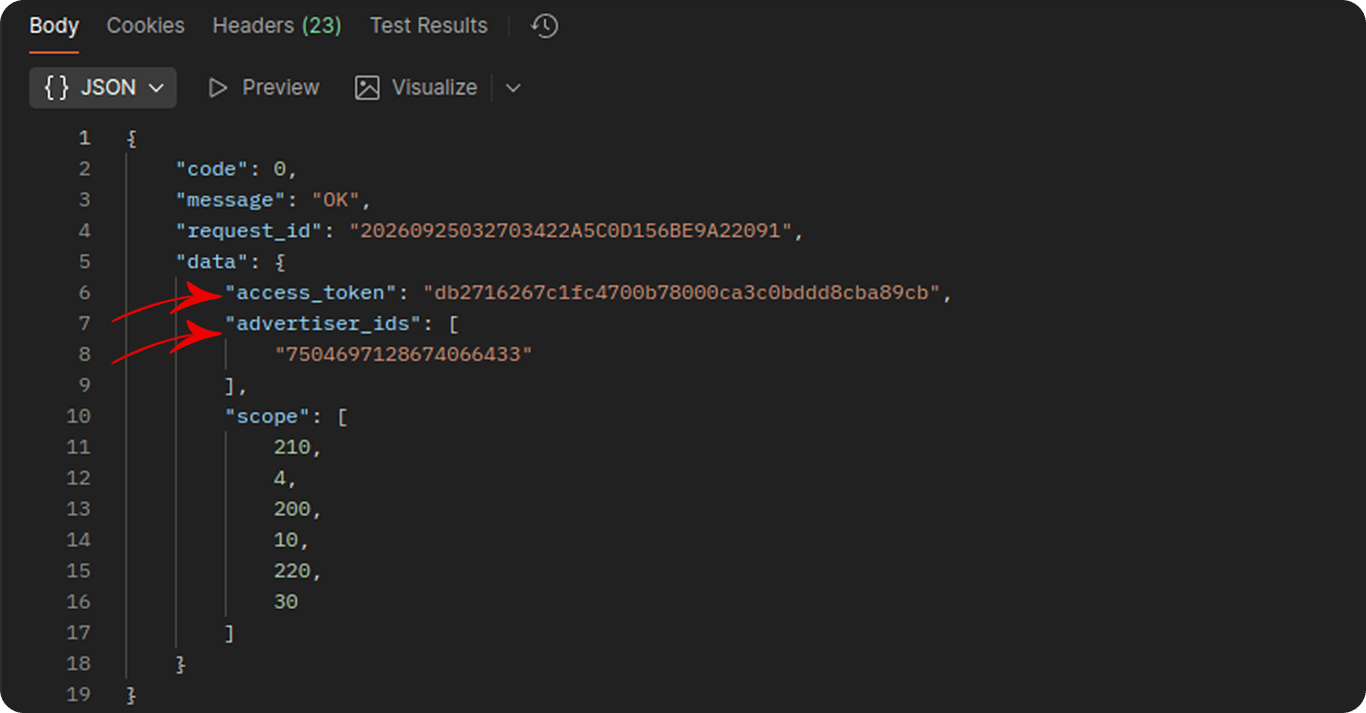 API client response panel showing the access_token and advertiser_ids values