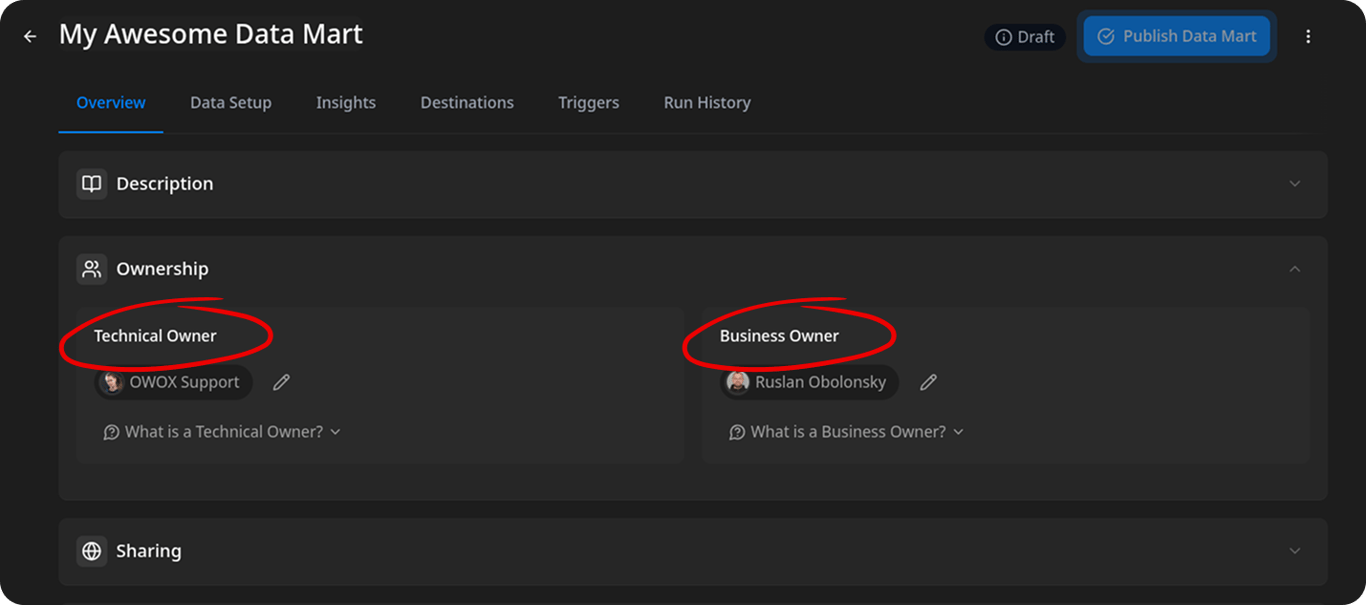 Data Mart settings showing Technical Owner and Business Owner fields with assigned project members