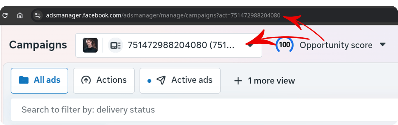 Facebook Ads connector configuration screen after entering account credentials